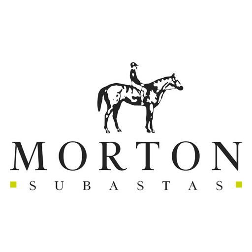 Logo Morton Subastas